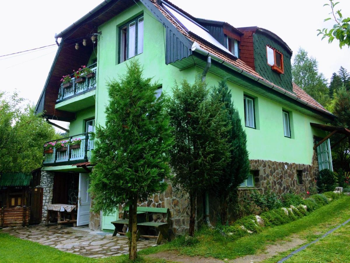 Pensiunea Panorama BaileTusnad Ngoại thất bức ảnh